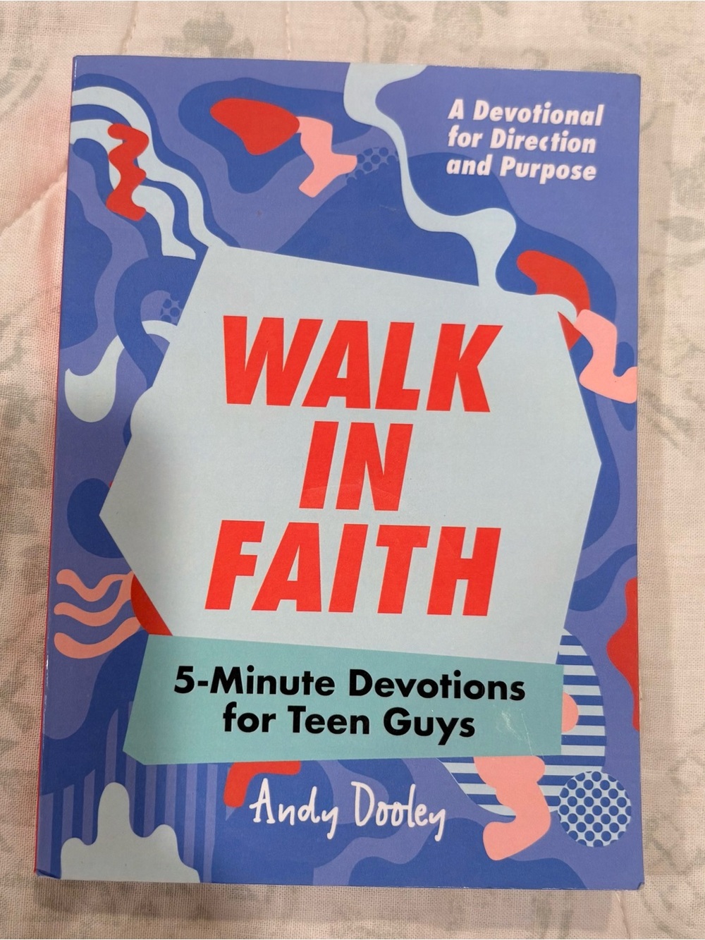 Walk in Faith Devotional Teen Boys Andy Dooley Like New
